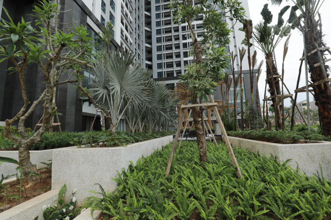 Không gian trong khuôn viên dự án tràn ngập màu xanh bởi chủ đầu tư xây dựng với mật độ chỉ hơn 23% và dành hơn 155 tỷ đồng cho riêng hạng mục cảnh quan, cây xanh.