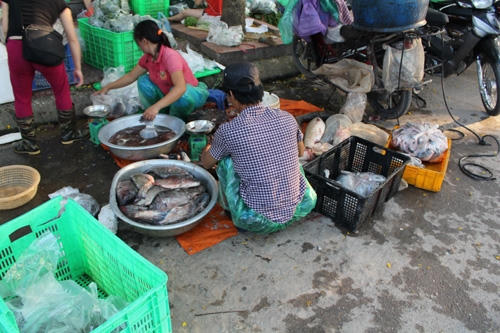 Cảnh sơ chế không đảm bảo an toàn vệ sinh thực phẩm của Cty My Way.