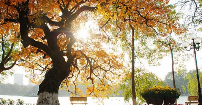 Dự báo thời tiết ngày 12/11: Bắc bộ nhiệt độ tăng dần, Hà Nội trưa và chiều hửng nắng