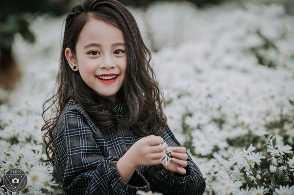 Vườn cúc họa mi như chỉ là nơi để tôn vinh thêm vẻ đẹp của cô bé 6 tuổi này.