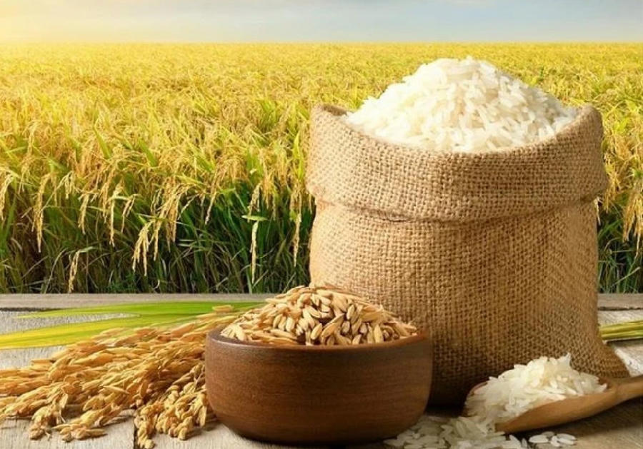 Tuần qua, giá lúa gạo tại khu vực Đồng bằng sông Cửu Long (ĐBSCL) không có nhiều biến động do nhu cầu tiêu thụ thấp. Ảnh Internet