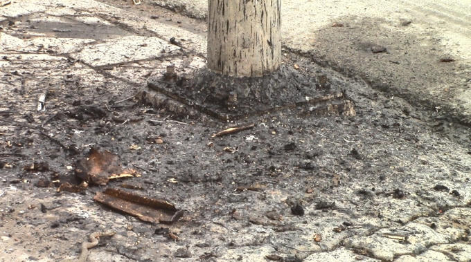 Lực lượng cảnh sát PCCC đã dập tắt đám cháy