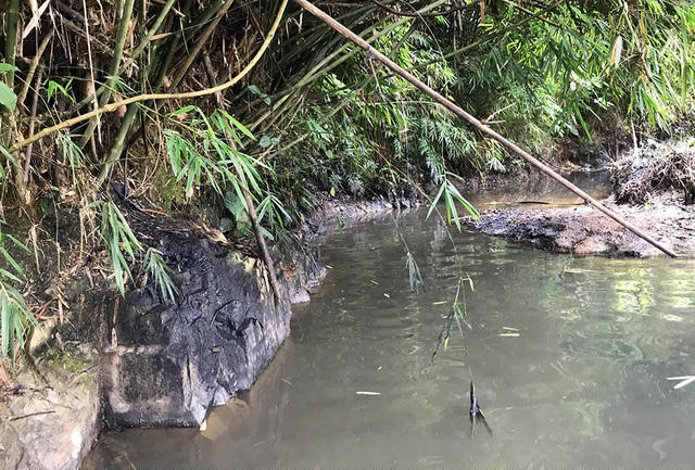 Đến chiều ngày 14/10, dầu thải vẫn còn dính đầy 2 bên bờ suối.