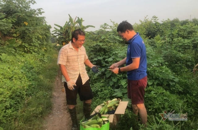 Thầy giáo Hà Nội bán hết ruộng ngô ủng hộ Bắc Giang chống dịch