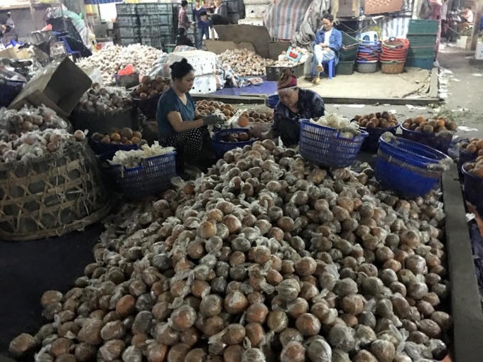 Hình ảnh cam sành Hà Giang được bọc túi nilon cùng chất bảo quản độc hại được lan truyền trên mạng xã hội.