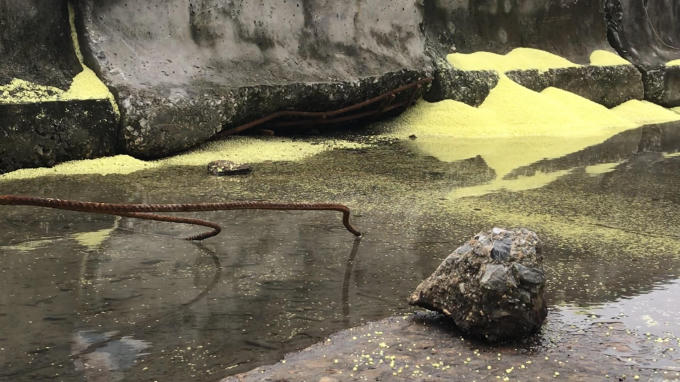 Vương vãi trên cầu cảng.