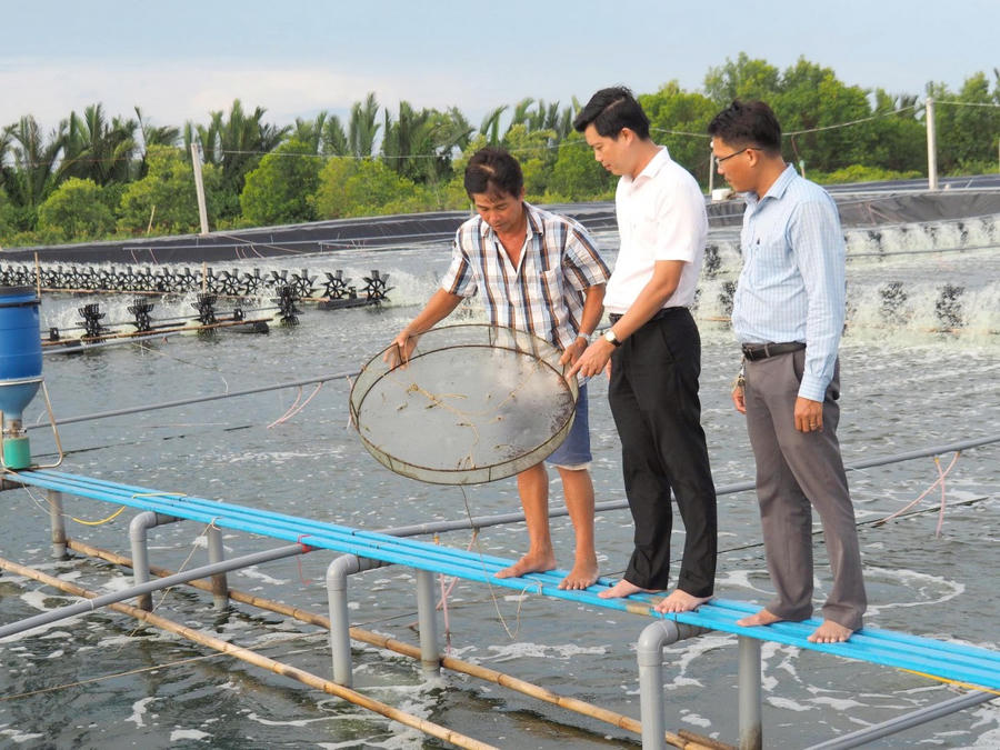Lãnh đạo xã Nguyễn Việt Khái tham quan mô hình nuôi tôm công nghiệp tại ấp Cái Bát.