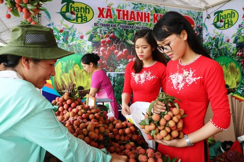 Vải thiều xã Thanh Khê, huyện Thanh Hà được giới thiệu và bán cho khách tại lễ hội vải Thanh Hà 2008.  Ảnh: Giang Chinh