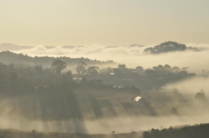 Tia nắng buổi sớm mai.