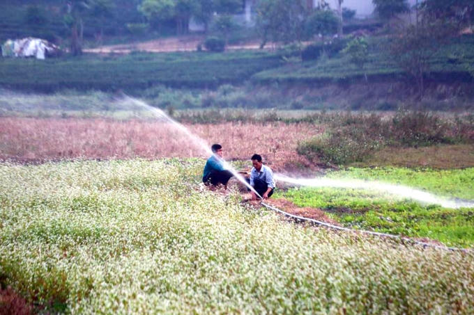 Dày công chăm sóc vườn hoa sau mỗi buổi làm việc
