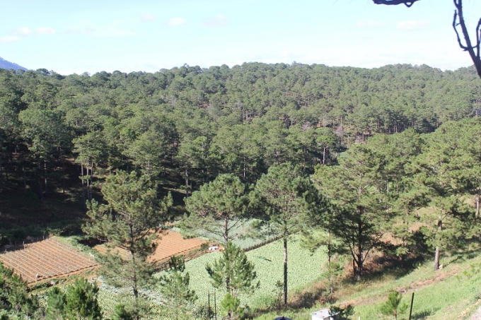 Một góc hung lũng mộng mơ của Thủy Hoàng Nguyên