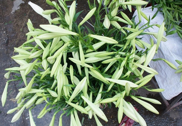 Tháng tư, tháng của thật nhiều kỷ niệm với mỗi người, bạn cũng như tôi, hãy trân trọng lưu giữ những giây phút ta đã từng đi qua để thêm yêu những ngày ta đang sống.