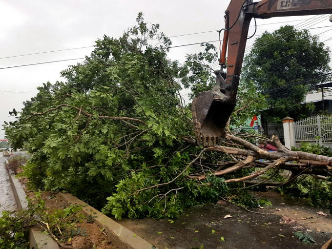 Các cây xanh trên địa bàn bị bật gốc, chắn ngang đường.