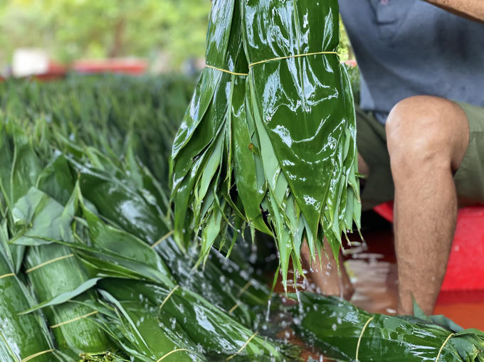 Hinh 5 _1623470085961_1623541239240