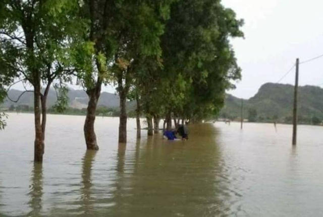 Đường giao thông đi vào phân trại số 2 và số 3 ngập nước.