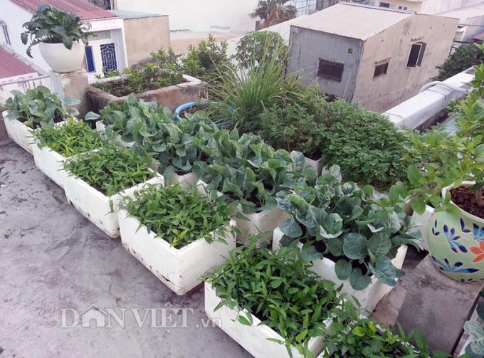 Một góc của khu vườn