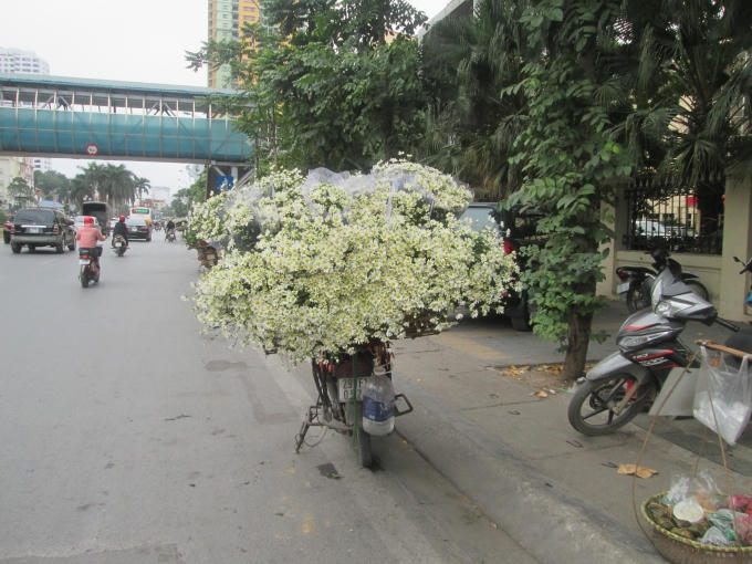 Những bông cúc theo chân những chiếc xe tràn về khắp các phố Hà Nội