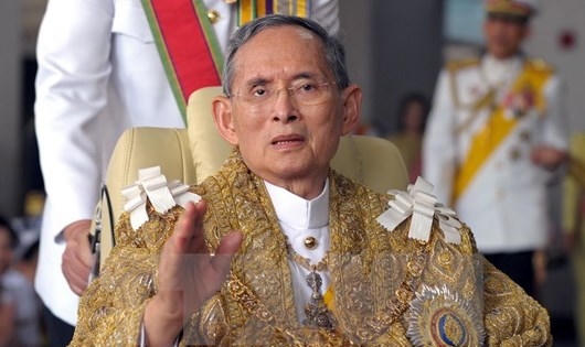Nhà vua Thái Lan Bhumibol Adulyadej tại thủ đô Bangkok ngày 5/12/2010.