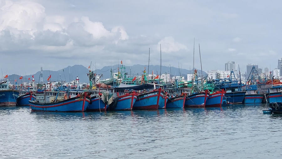 Chính phủ yêu cầu các cơ quan có liên quan tập trung chuẩn bị làm việc với Đoàn Thanh tra của Ủy ban Châu Âu lần thứ 5, quyết tâm gỡ cảnh báo “thẻ vàng” đối với thủy sản Việt Nam. (Ảnh minh họa)
