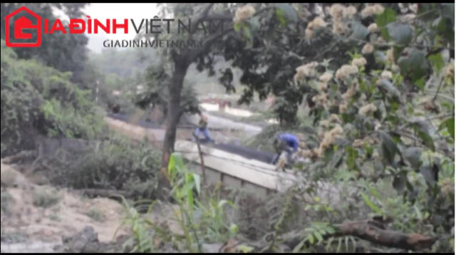 Các đối tượng hiên ngang xúc than trên tàu.