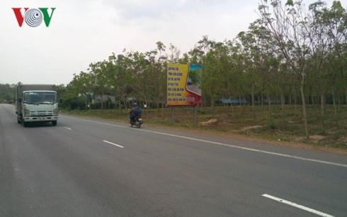 Khu vực đất dự kiến thực hiện khu tái định cư.