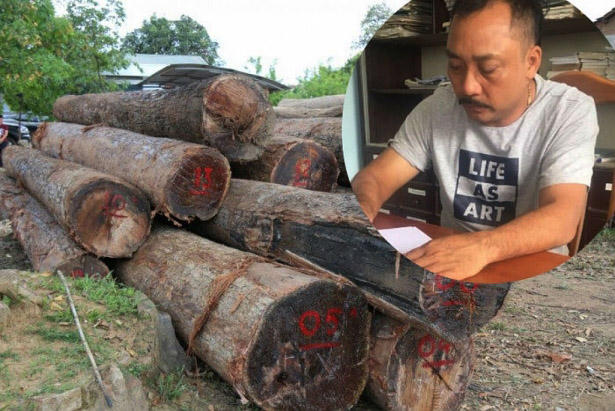 Trùm buôn gỗ Phương "râu" sa lưới. Ảnh: ĐS&amp;PL