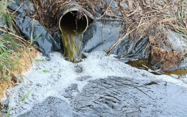 Trại lợn ngàn con “bức tử” môi trường bị xử phạt 320 triệu đồng