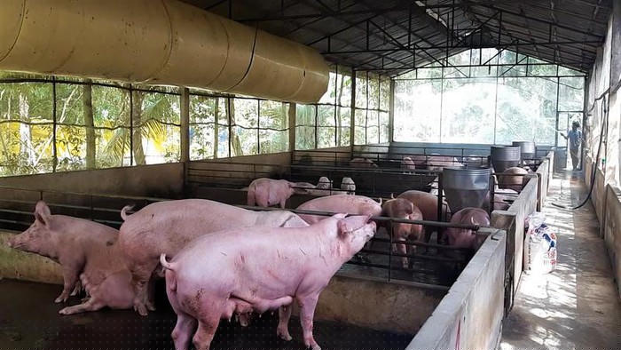 Ngành chức năng đã có kế hoạch dự trù cho