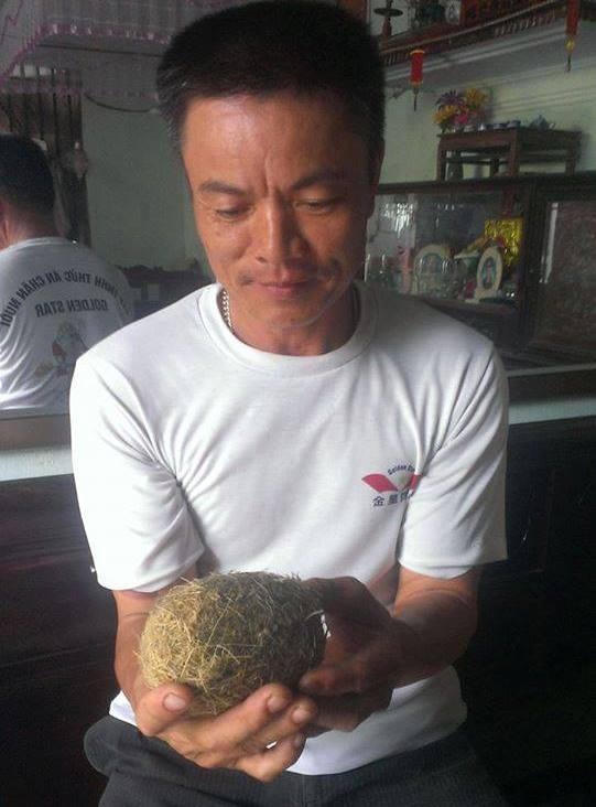 Vật thể lạ được cho là cát lợn quý hiếm tại gia đình ông Nguyễn Văn Đông có trọng lượng đến 600g.