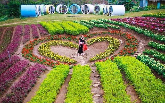 Giám đốc 28 tuổi phá vỡ bế tắc của 'du lịch thời vụ' mang trái ngọt về Mộc Châu