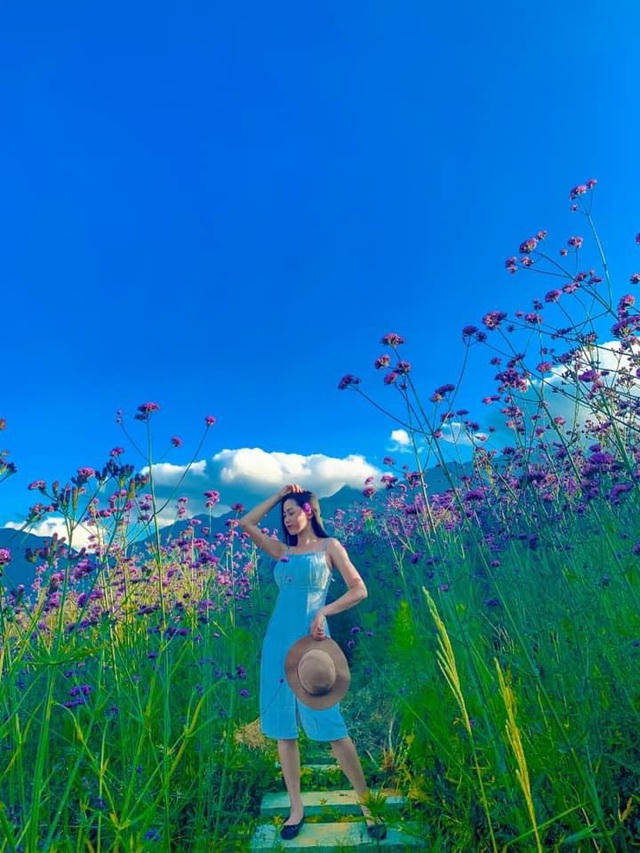 Đứng ở bất cứ khung hình nào, du khách cũng dễ dàng có được những bức ảnh đẹp