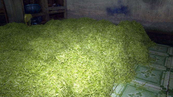 Thời gian gần đây, cơ quan chức năng đã phát hiện nhiều cơ sở ngâm sau bằng hóa chất. Ảnh: tuoitre.vn