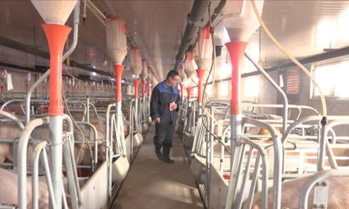 190506143613-swine-flu-exlarge-3143-8762-1557907670