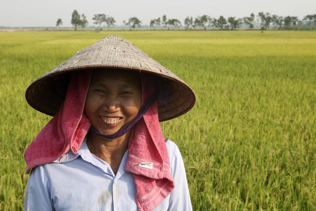 Chị là Dương Thị Lương, cả gia đình có 8 khẩu được chia 5 sào ruộng. Chị cho biết năm nay lúa tốt, sản lượng có thể đạt từ 2,5 tạ đến gần 3 tạ mỗi sào.