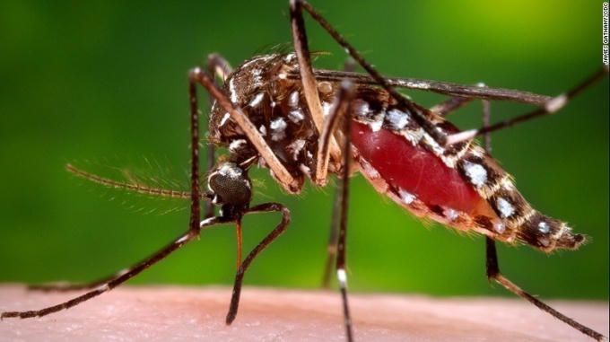 Trước tình hình dịch bệnh do virus Zika diễn biến phức tạp, Bộ trưởng Y tế 10 nước ASEAN đã họp khẩn bàn phương án đối phó. Ảnh: minh họa