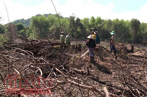 Một góc rừng bị người dân chặt phá.