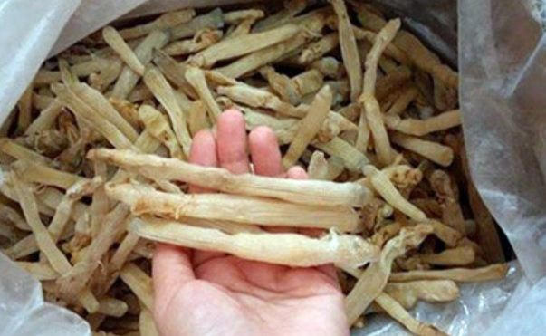 Sau đó, sá sùng khô được đem bán ra thị trường với giá đắt đỏ từ 3,5 - 4 triệu đồng/kg. Ảnh: VOV.