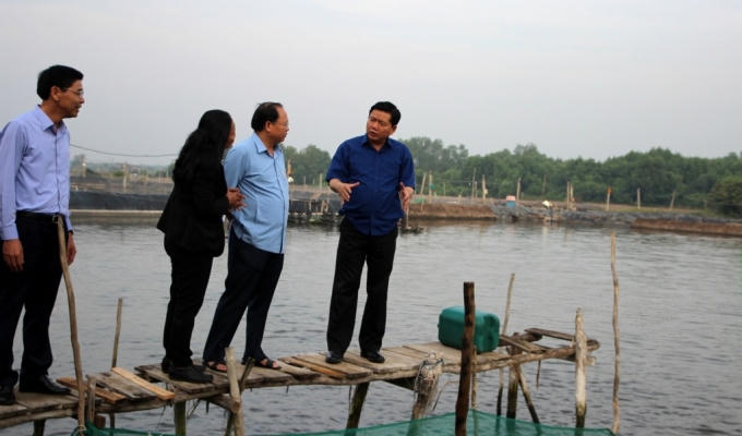 Bí thư Thăng thị sát đầm tôm.