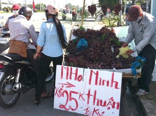 Nhập cả 100 tấn nho Trung Quốc mỗi ngày nhưng lạ là, trên thị trường chỉ thấy bán nho Ninh Thuận.