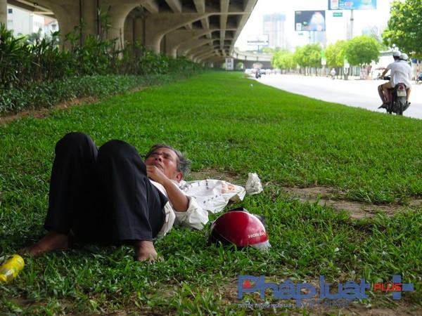 Thảm cỏ dưới các chân cầu thay cho những căn phòng điều hòa mát rượi của người vô gia cư.