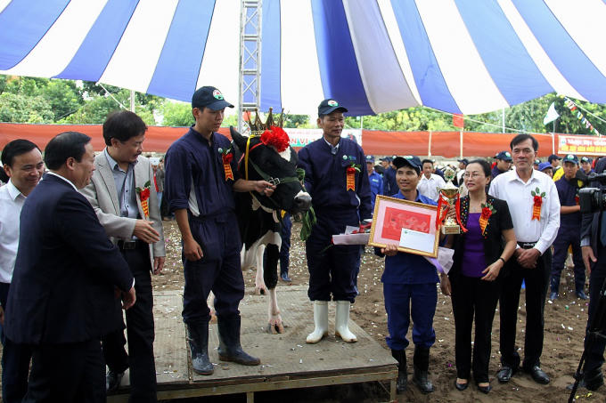 Ban Tổ chức trao giải Hoa hậu Bò sữa Mộc Châu 2017. Ảnh: Huy Pham