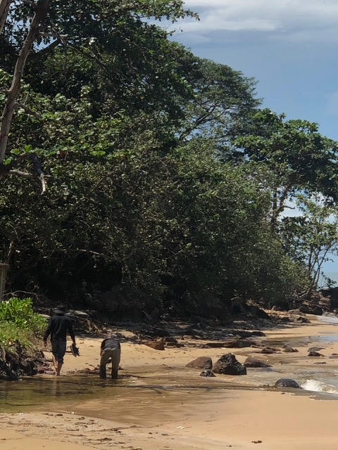 Hiện trạng hoang hóa dự án “Bảo tồn cổ vật Kết hợp du lịch sinh thái” của Cty ĐAD.