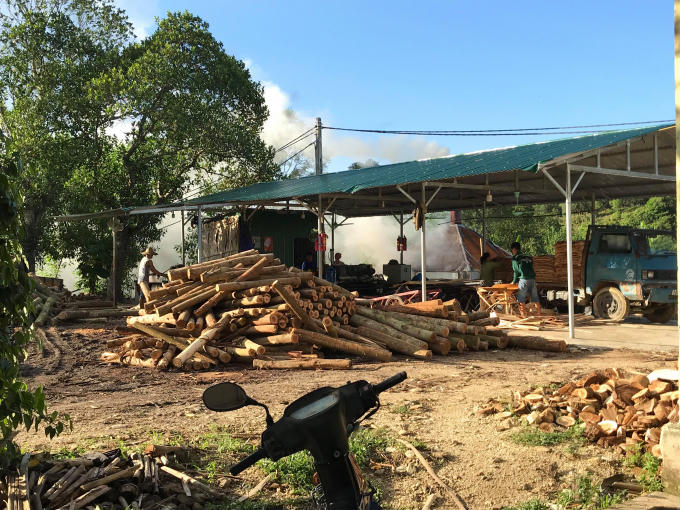 Chỉ trong một thời gian ngắn, hàng loạt xưởng chế biến gỗ rầm rộ mọc lên tại địa bàn huyện Thanh Chương, Nghệ An với những dây chuyền công suất lớn.