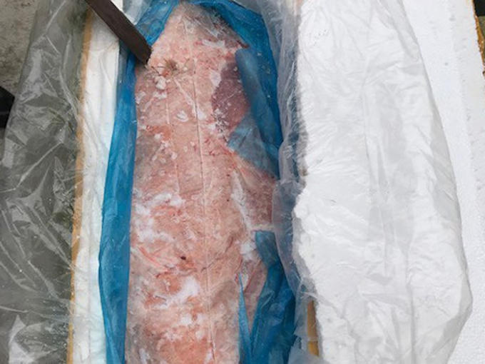 Số nầm lợn bị mốc xanh