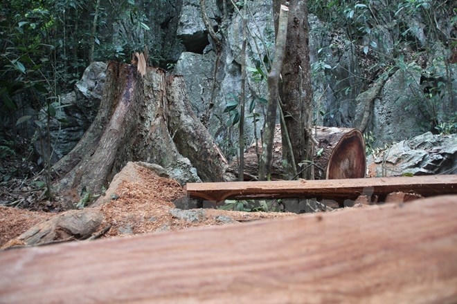 (Ảnh: H.V/Vietnam+)