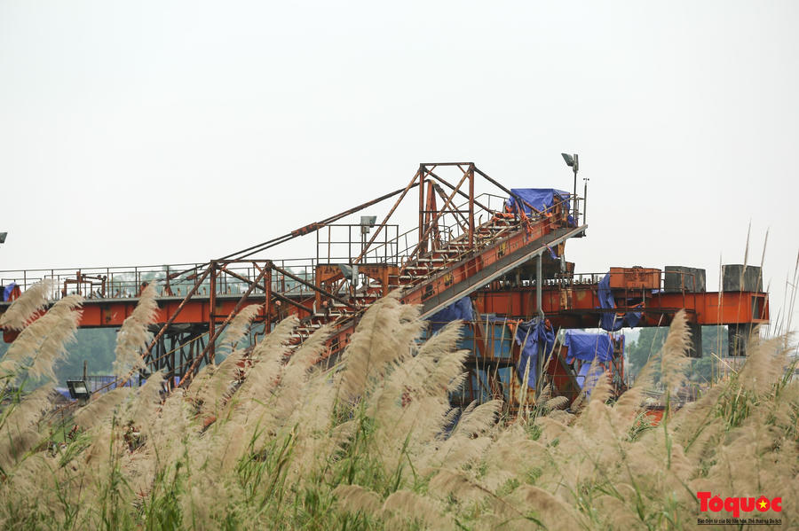 Lau lách mọc ngập tràn trong nỗi xót xa của người dân.