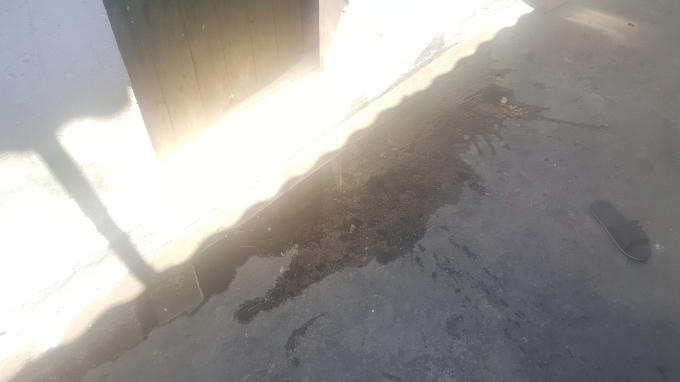 Các phòng thay nhau phun nước lên trên mái nhà để giảm bớt sức nóng.