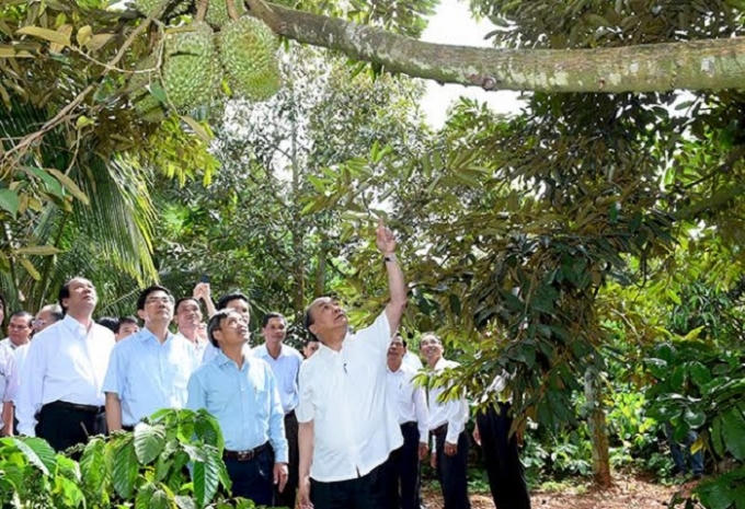 Thủ tướng cũng đến khảo sát mô hình trang trại của nông dân địa phương.