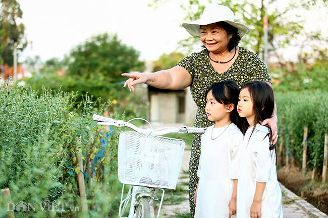 "Tôi trồng nhiều cúc hoạ mi chỉ để cho khách đến chụp ảnh chứ không bán", bà Vũ Thị Minh - chủ khu bãi này chia sẻ với phóng viên Dân Việt.