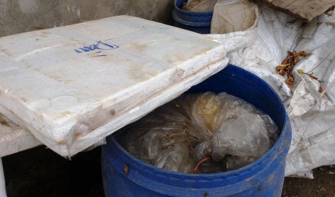 Một thùng chứa măng bốc mùi hôi thối. Ảnh: Doãn Hòa.